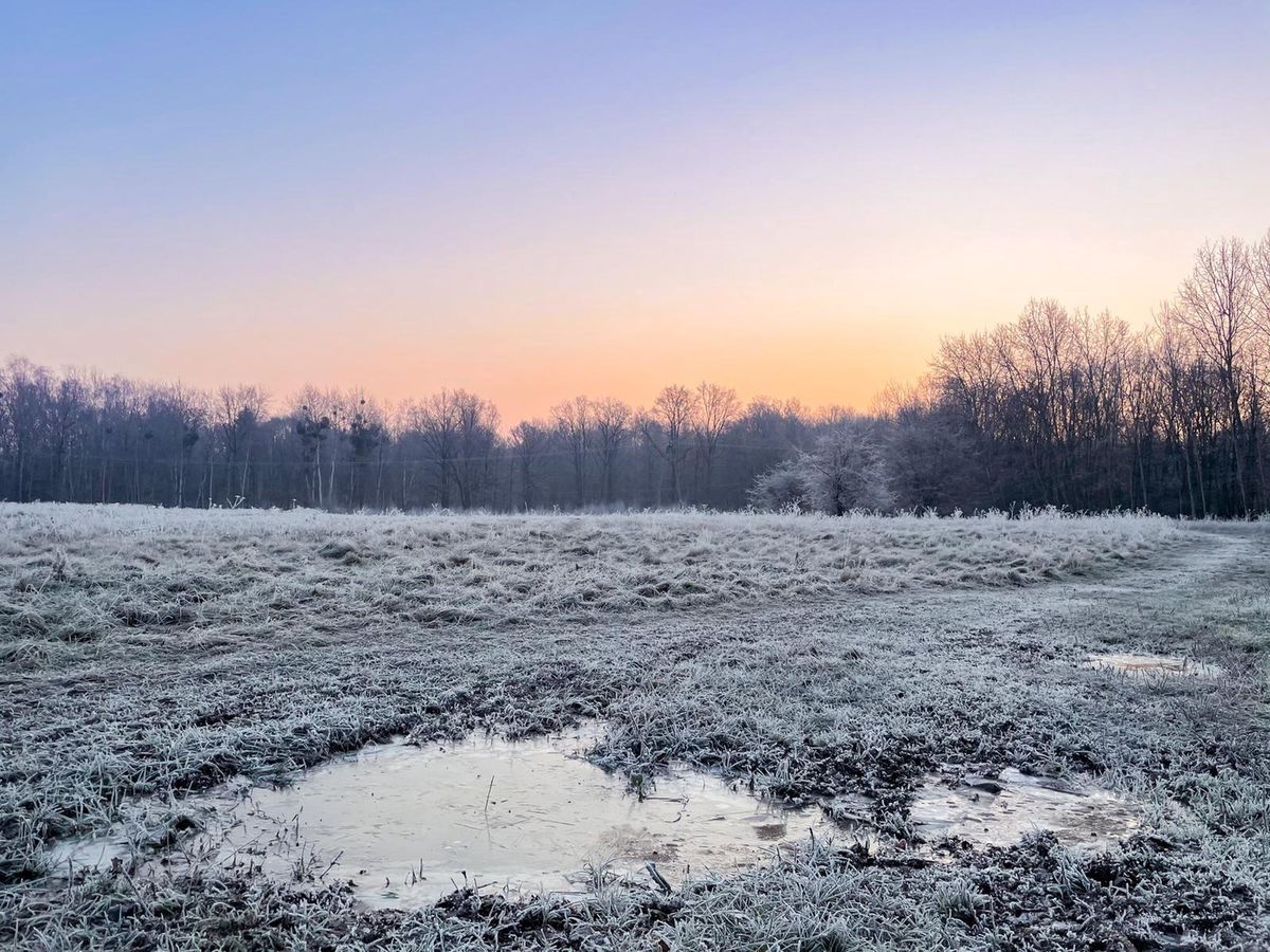 Pogoda na najbliższe dni Zimne powietrze spłynie do Polski Pojawią