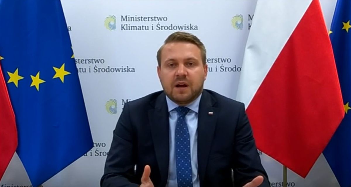 Mocne słowa Patryka Jakiego Jacek Ozdoba popiera Ktoś upadł na głowę