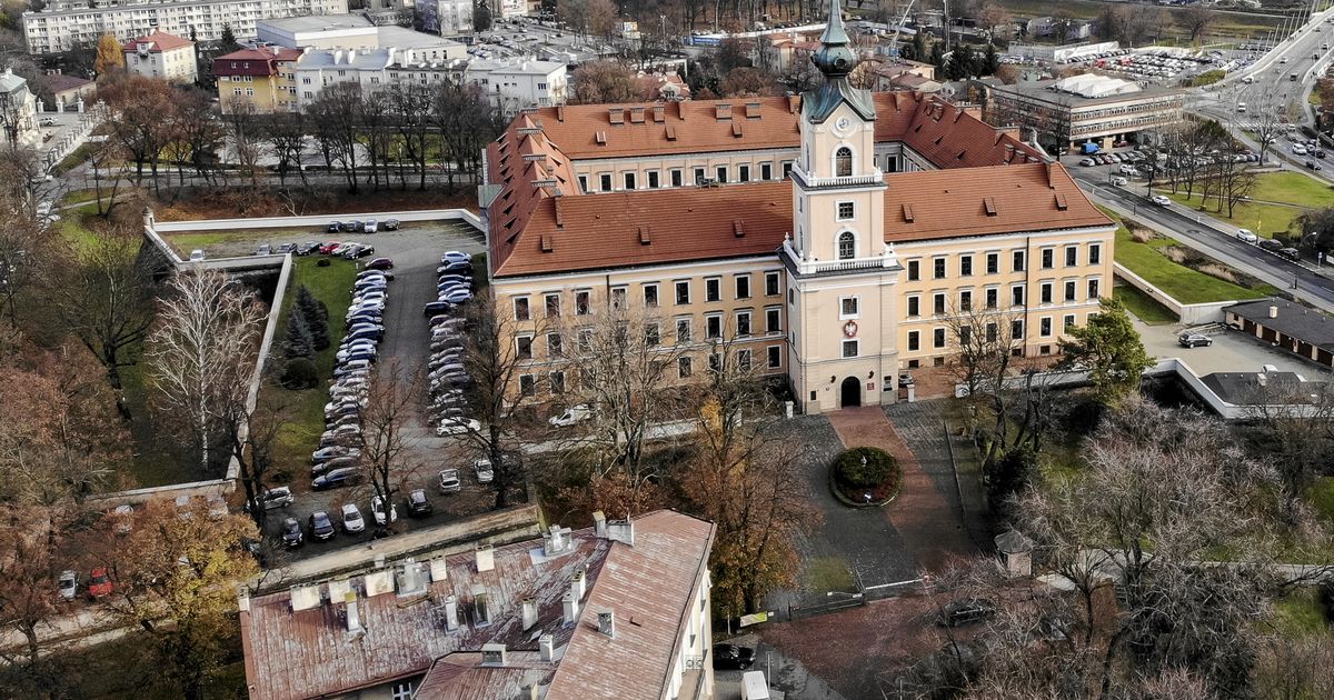 Plaga Szczur W W Rzeszowie W Samym Centrum Wiadomo Ci Z Rzeszowa Wp