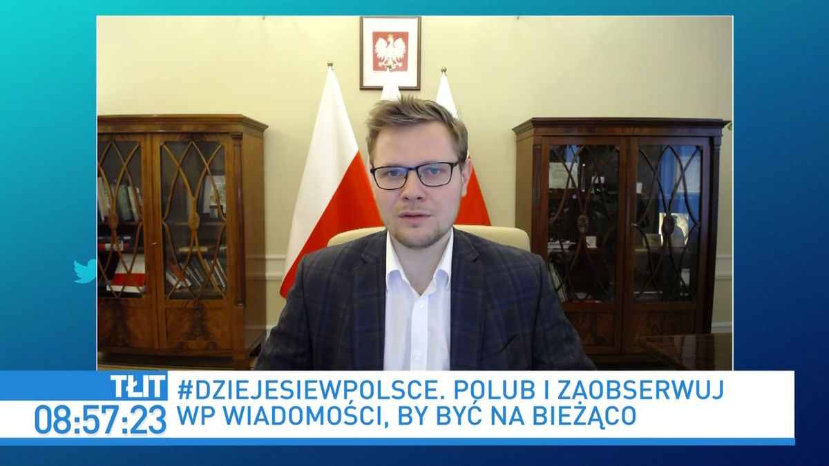 Zbigniew Stonoga Zatrzymany Micha Wo Wielokrotny Bandyta Wp