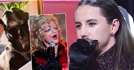Michał Szpak oddał hold Villas, Krawczykowi i... swojemu psu w singlu "Halo Wodospad". Fani: "Fajnie, że inspirujesz się twórczością Violetty"