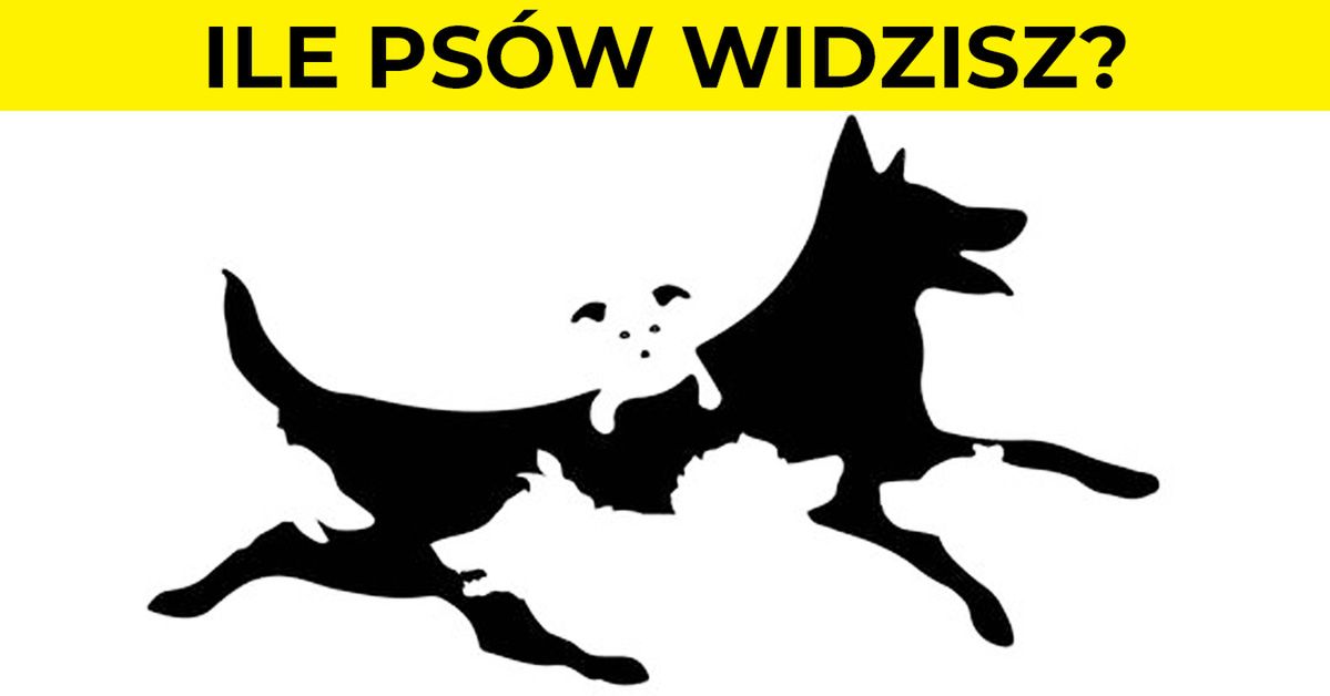 Liczba psów jaką zobaczysz, ilustruje Twój wiek mentalny. Zdziwisz się ile lat ma Twój umysł