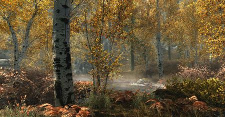Rozchodniaczek: Call of Duty będzie miało misje poboczne, a Borys Szyc jest Jokerem