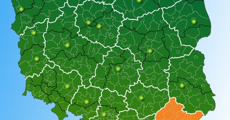 Ostrzeżenia dla kierowców. Gęsta mgła i ślisko