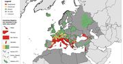 Komar tygrysi w Europie. Uważaj, gdzie jedziesz na wczasy