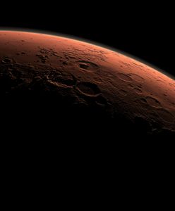 Posłowie "podbili" Marsa w Australii. Zapłacimy za to 90 tys. złotych