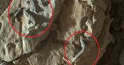 NASA stanęło przed wielkim odkryciem. To mogą być skamieliny obcej formy życia