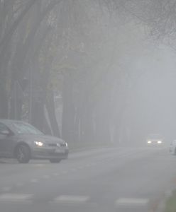 Gęsty mgły w ośmiu województwach. Rządowe Centrum Bezpieczeństwa ostrzega kierowców