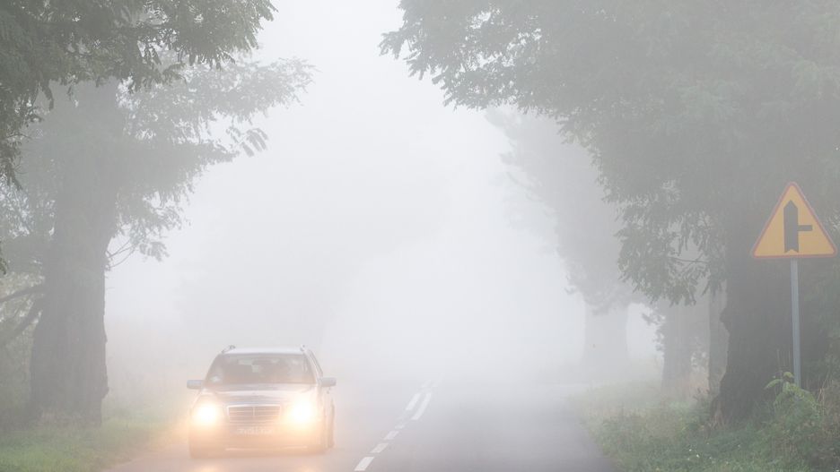 Mgły są przyczyną wielu drogowych stłuczek