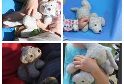 Zuzia zostawiła w autobusie ukochanego Brudaska. Internauci ruszyli na ratunek