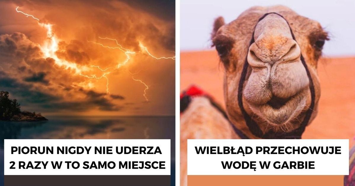 10 popularnych mitów, które z prawdą nie mają nic wspólnego