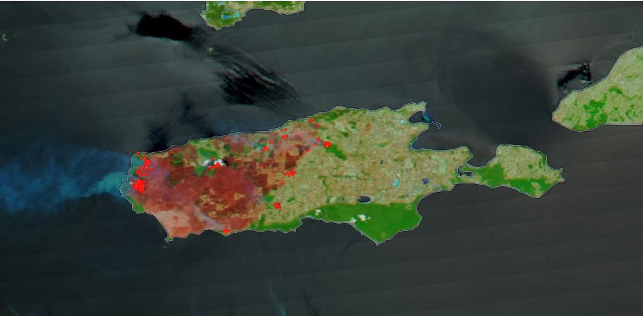 Wyspa Kangura 