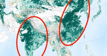 Zaskakujące wyniki badań NASA. Ziemia bardziej zielona niż wcześniej