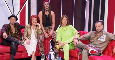 Wykształcenie gwiazd "The Voice". Górniak bez matury, Szpaka wyrzucono ze szkoły. Za to Baron ma się czym chwalić