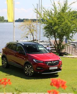 Opel Grandland X - nowy zawodnik w ulubionym segmencie Polaków