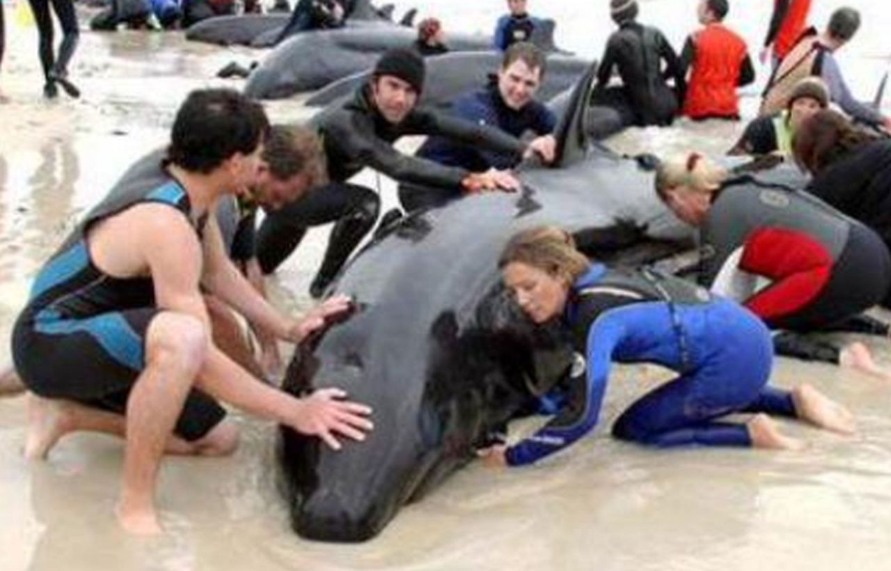 Potrafimy sobie pomagać. Te zdjęcia wzruszają