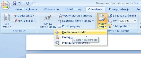 Przypisy i bibliografia