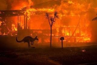 Pożary w Australii