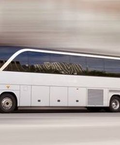 Zawodowy kierowca, fach prestiżowy