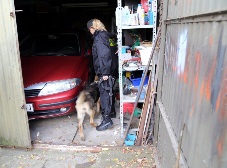 Policjanci zabezpieczyli na poczet przyszłych kar m.in. Porsche i Renault. 