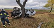 Jawor. Samochód owinął się wokół drzewa. Kierowca wyszedł z niego o własnych siłach