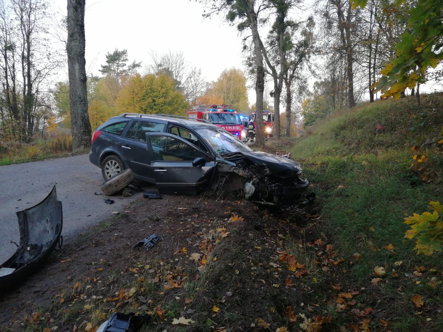 Auto wbiło się w drzewo. Kobieta z renault: "GPS tak pokazał"