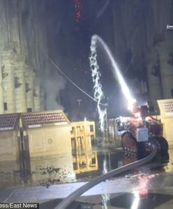 Katedra Notre Dame. Nowe informacje