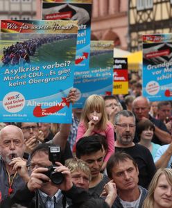 AfD w Nadrenii-Palatynacie płaci uczestnikom demonstracji. "Dla dobra Niemiec"