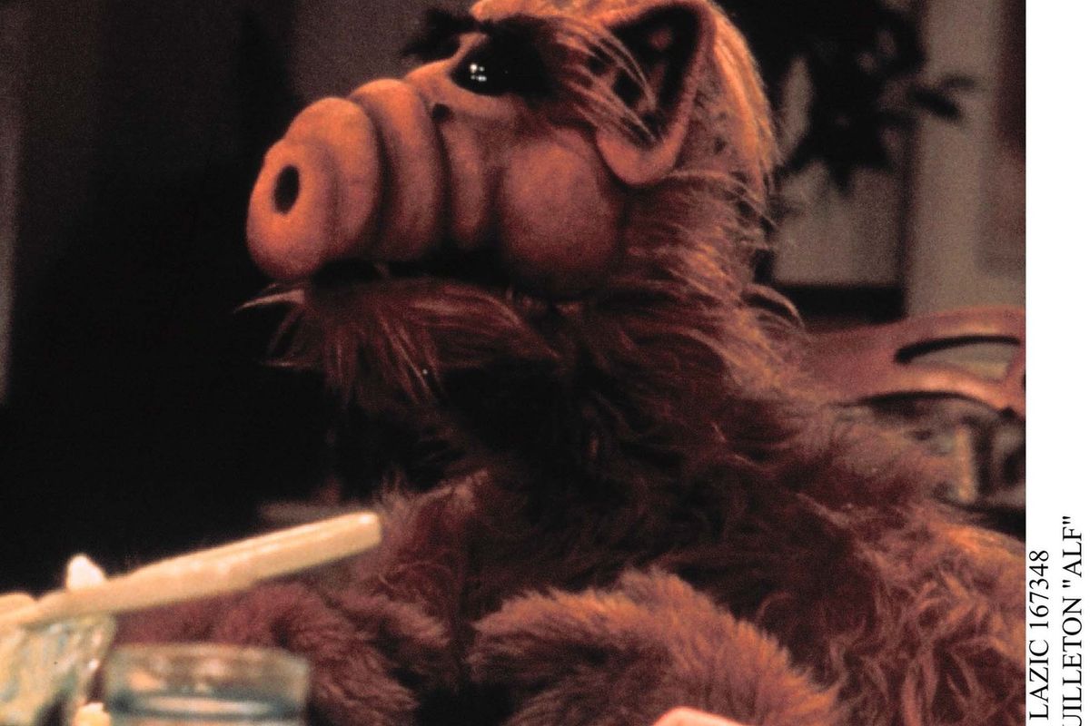 „Alf” – reboot legendarnego serialu.