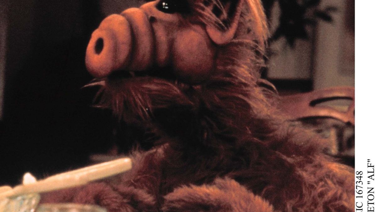 Alf 