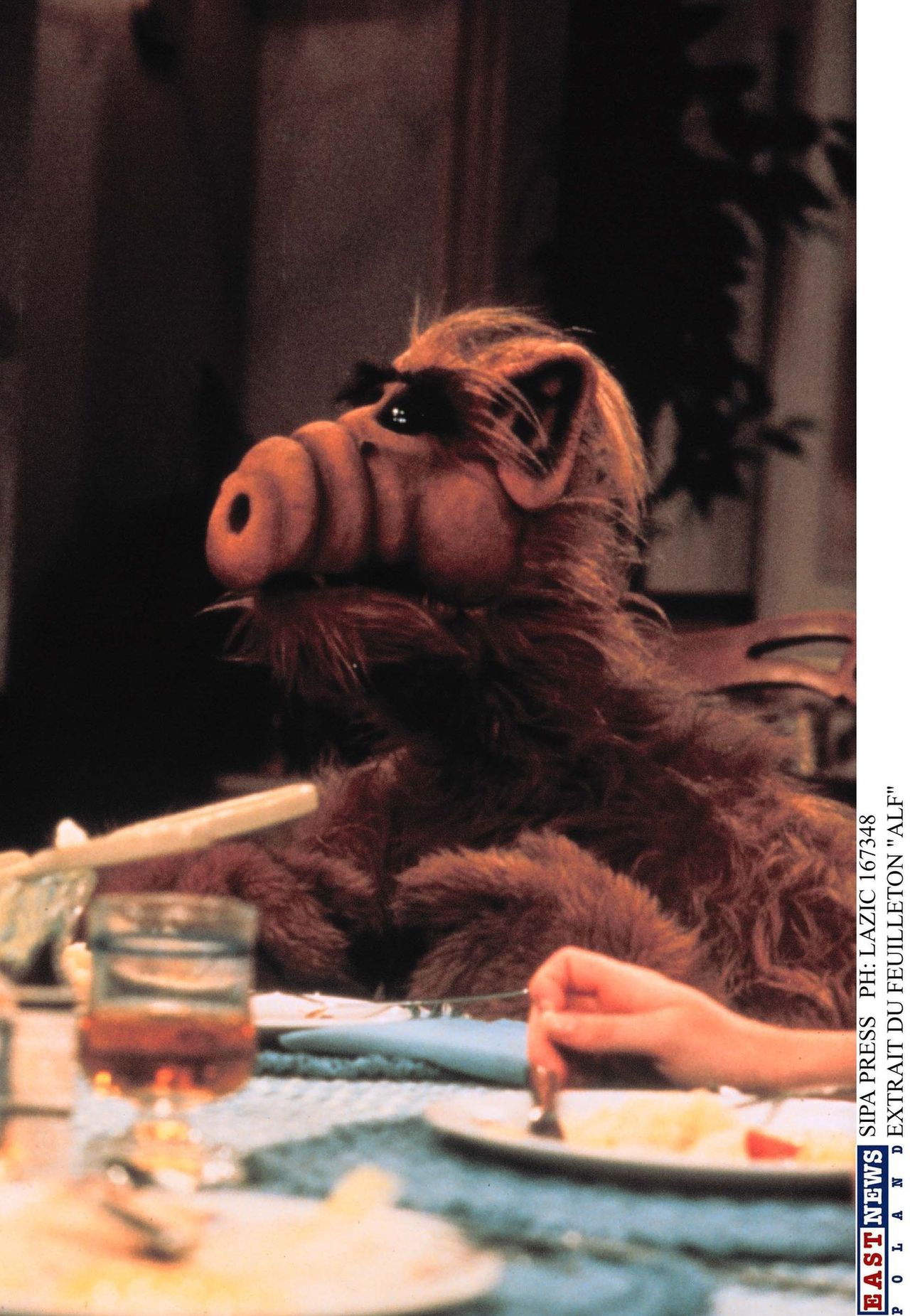 „Alf” – reboot legendarnego serialu.