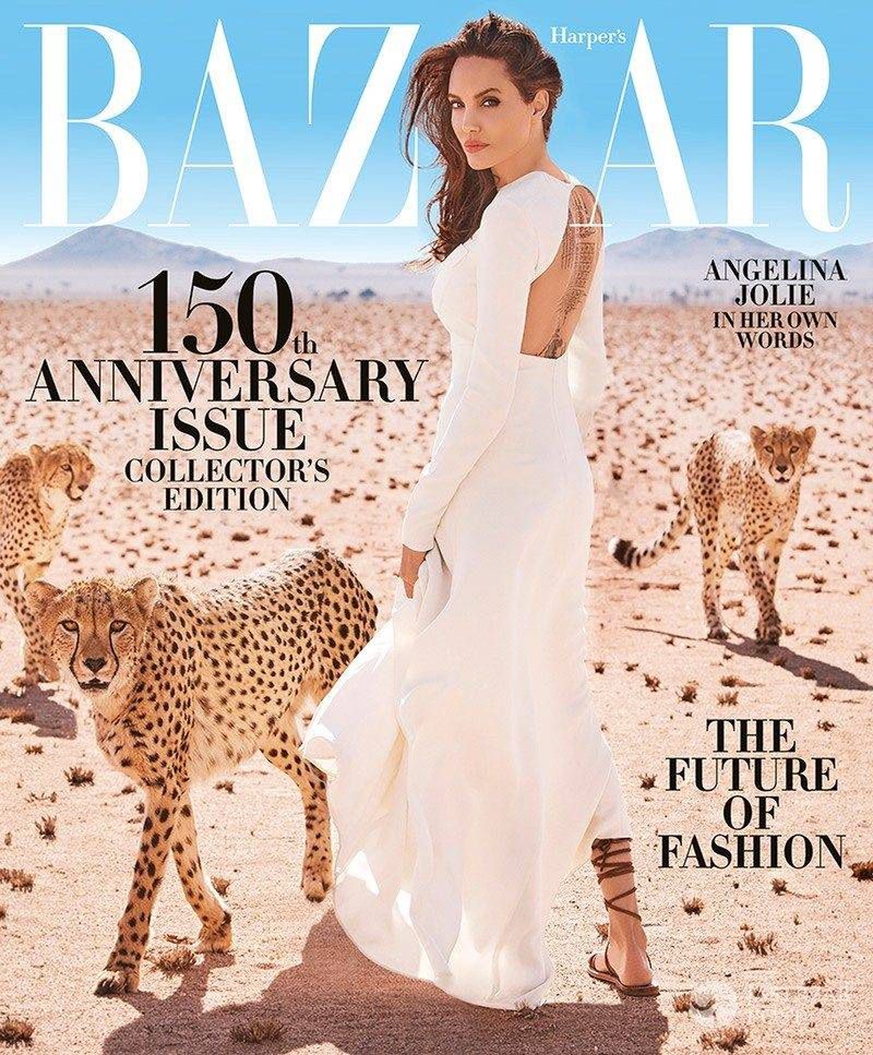 Angelina Jolie na okładce Harper's Bazaar