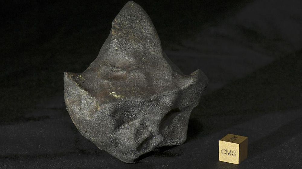Mieszkaniec Kostaryki przekazał meteoryt na rzecz Arizona State University
