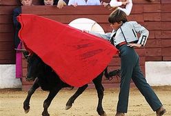 11-letniemu torreadorowi zakazano występu w Lizbonie