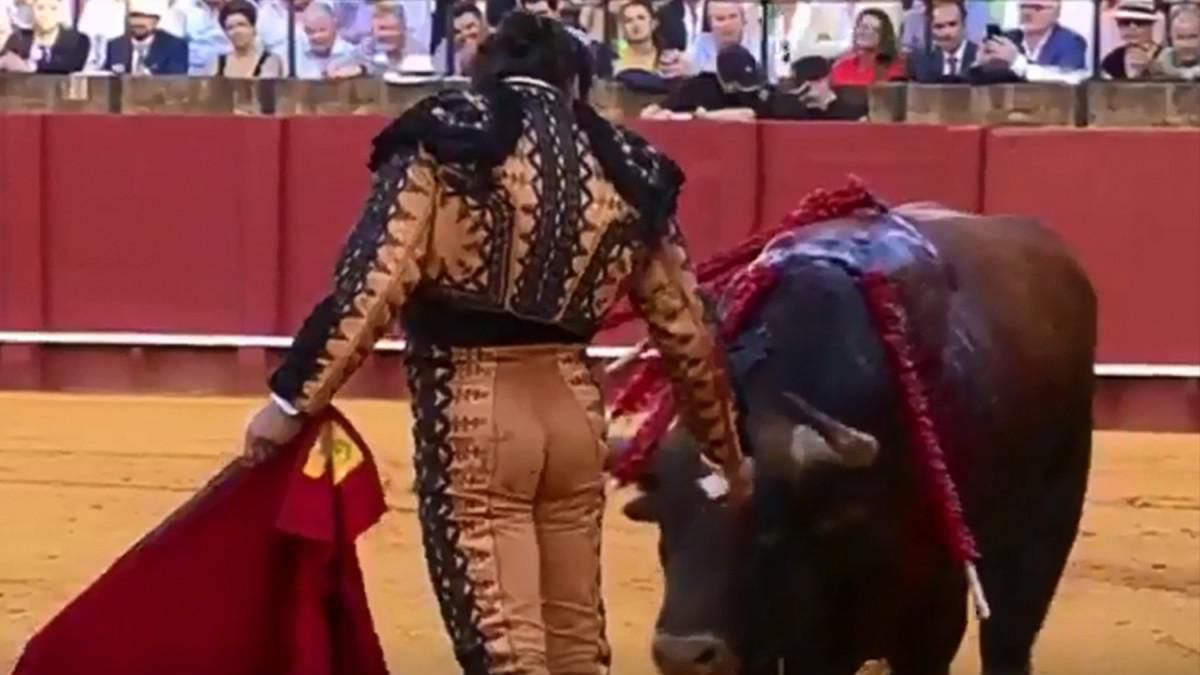 matador