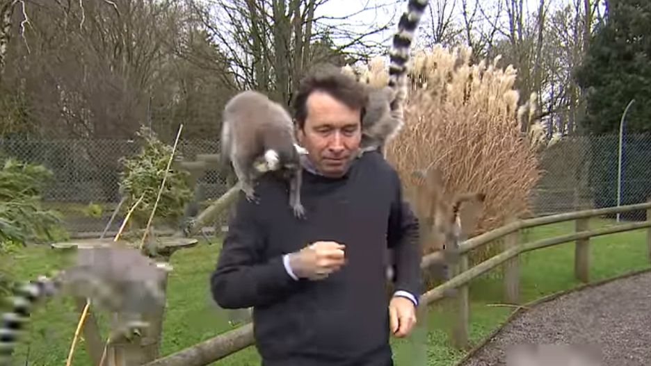 Reporter BBC Alex Dunlop "zaatakowany" w zoo