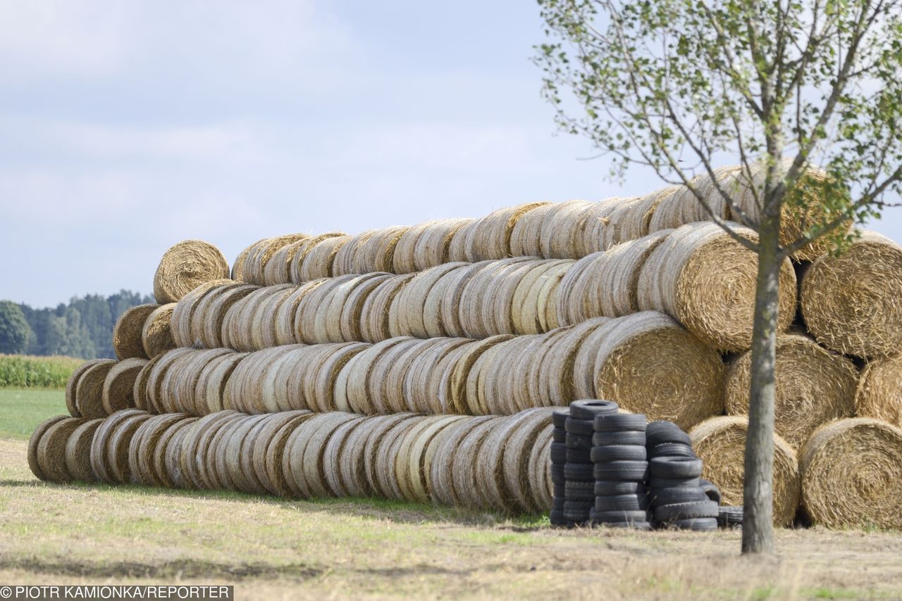 Tragedia na polu. Maszyna urwała mężczyźnie rękę