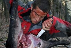 Bear Grylls wraca do rodziny! Nowa seria w Discovery Channel