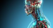 Wiesz, za co odpowiadają ludzkie narządy? Sprawdź się