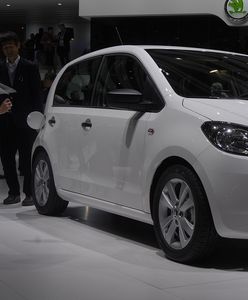 Show w wykonaniu Skody