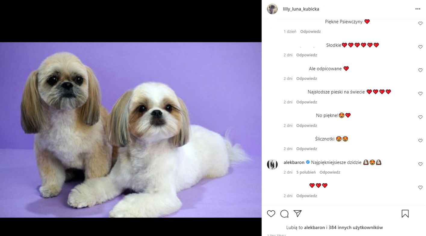 Psy Sandry Kubickiej