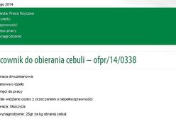 Szukają chętnych do obierania cebuli