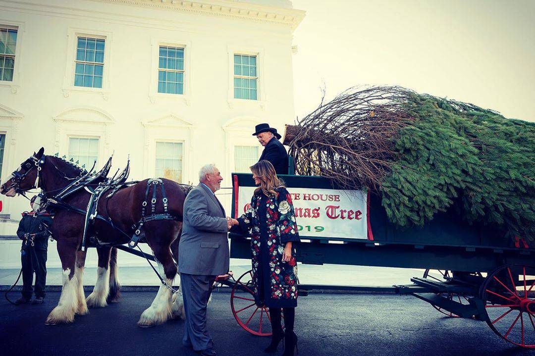 Melania Trump - transport choinki do Białego Domu
