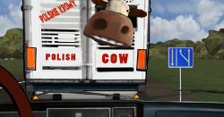 Spot Telewizyjny: "Cow"