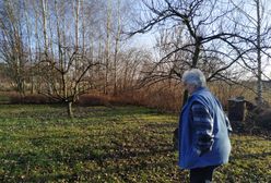 Baranów. Gmina poświęcona dla Polski