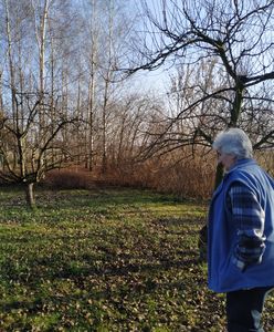 Baranów. Gmina poświęcona dla Polski