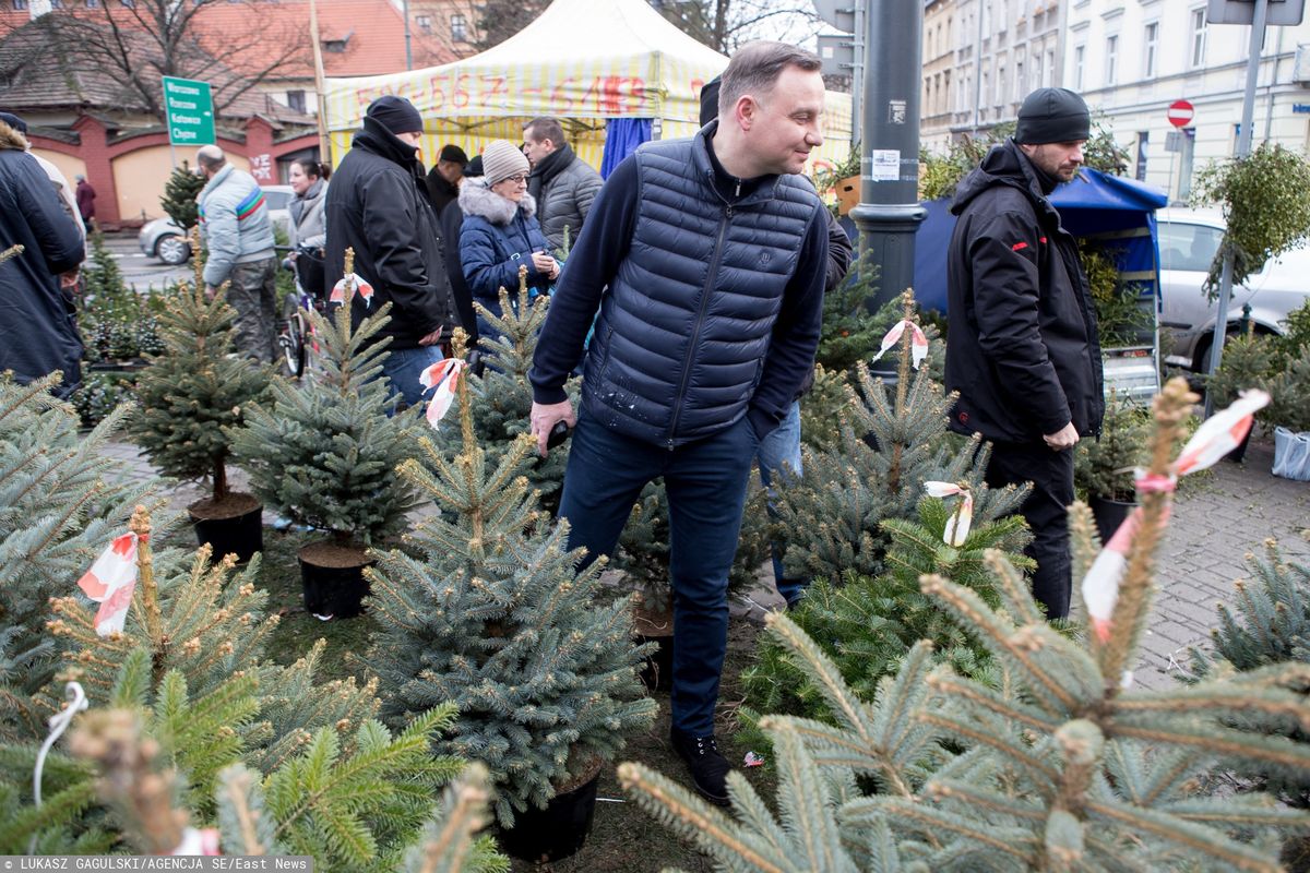 Prezydent kupił choinkę. Na bazarze, droga nie była