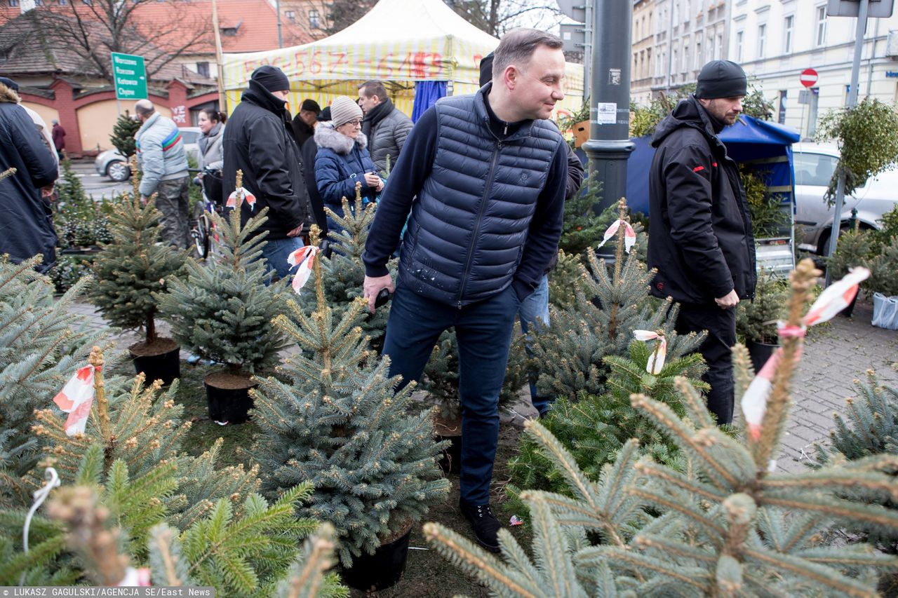 Prezydent kupił choinkę. Na bazarze, droga nie była