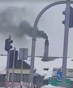 Turystka zgłosiła urzędowi czarny dym z komina piekarni. "Węgiel jest z atestem"