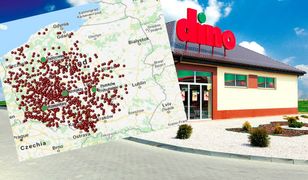 Biedronka i Lidl mają mocną konkurencję. Dino chce iść jak burza
